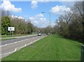 Hatch Warren Lane approaching Viables roundabout in RG22 4BE