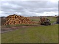 Logging at Banterwick Farm in RG18 0SR