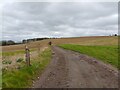 Bridleway towards Hampstead Norreys in RG18 0SR