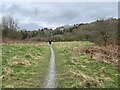 Grassland near the Nidd Gorge in HG5 9HG