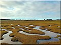 Saltmarsh Pools in IV20 1RX