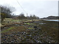 Shoreline of Loch Craignish in PA31 8JE