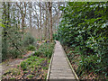 Boardwalk in Leechpool Wood in RH13 6DH