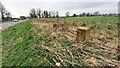 Gateposts and stiles for footpath from NW side of A595 to Newby West Farm in Cummersdale