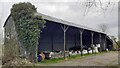 Barn at Orton Park Farm in Dalston and Burgh Ward