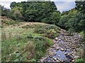The stream from Tregoyd Mill in LD3 0SG