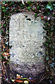 Old Milestone by Whitchurch Road, Tavistock Parish in PL19 9AG