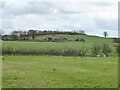 Fields around Outwood Gate Farm in M26 1RZ