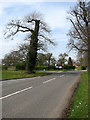 Wymondham Road (B1135) in Kimberley and Carleton Forehoe