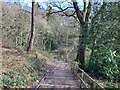 Steps to Stanleyburn Wood in NE42 5BY