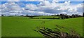 Fields at Preeshenlle, north of Gobowen in SY10 7AS