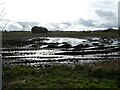 Ploughed field between Eyton upon the Weald Moors and Shawbirch in TF5 0LF