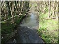 Looking down on the brook in TF6 6DW