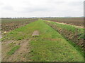 Grass track, ditch and fields at Greens in HU12 9BG