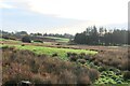 Rough grassland  in PA11 3DP