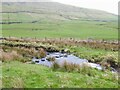 Ford and stepping stones on bridleway in OL3 5JX