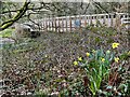 Footbridge over Afon Afan in SA12 9SP