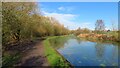 Sankey Canal, south of Vulcan Village in WA12 8SP
