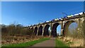 Goods train crossing the Nine Arches Viaduct over the Sankey Canal in WA12 9AR