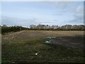Stubble field off the A548 in CH8 9NX