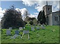 Church yard, St Nicholas, Great Munden in Great Munden