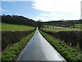 A long straight lane out of Tregynon, Powys in SY16 3EP