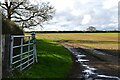 Wadenhoe: Public footpath through a field in Wadenhoe