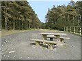Picnic table at view point in SA12 9SP