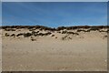 Eroding dunes north of Hemsby in NR29 4JQ