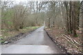 Ashlade Firs Road, Savernake Forest in SN8 3HP
