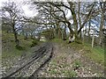 Old sunken track in the hills in SY21 8QN