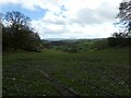 View eastward in SY21 8QN