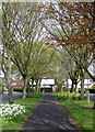 Elm Avenue, Garden Village in HU9 2JU
