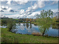 Fishing lake at Westmill Farm, Hertfordshire in SG12 0QX