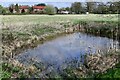 Longham: Small pond in Longham (Breckland)