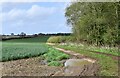 Great Fransham: Farm track bordering a small wooded area in NR19 2HZ