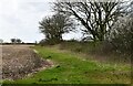 Great Fransham: Ploughed field in PE32 2LZ