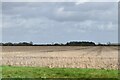 Great Fransham: Field in PE32 2LZ