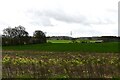 Fransham: View due south from Greenbanks Hotel in NR19 2LX