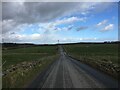 Minor road near Wynford in AB15 8RP