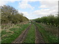 Hedged farm track giving access to arable land from Cross Carr Lane in DN20 9PJ