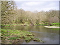 Afon Teifi at Trebedw in SA44 5TN