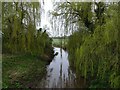 The River Gowy, Stamford Bridge in CH3 7HW