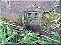 Ordnance Survey Flush Bracket 2186 in DN20 9DP