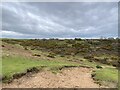 View down a sandy track into Pant Mari Flanders in CF32 0SN