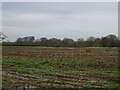 Stubble field off Willington Road in CW6 0HG