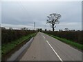 Willington Road towards Duddon in CW6 0HG