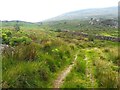 The rough track near Pen-y-gaer in LL55 4YF