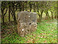 Old Boundary Marker on the A494 in Cadole in CH7 5LQ