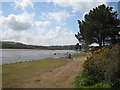 Looking up the creek towards Perranarworthal from Devoran Quay in TR3 6PJ